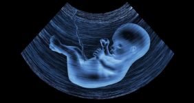 Posição da CNBB: defesa incondicional da vida e contra o aborto