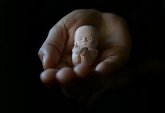 Sobre ADPF 442: bispos reiteram valor da vida e “não” ao aborto