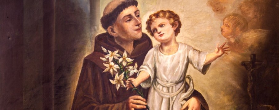 Por que Santo Antônio é representado com um lírio na mão? « Católico Digital